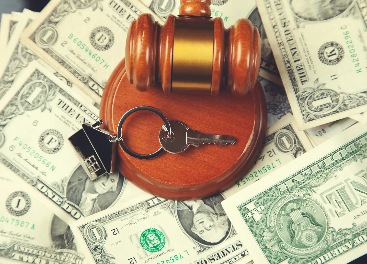 Lawyers and Law Firms